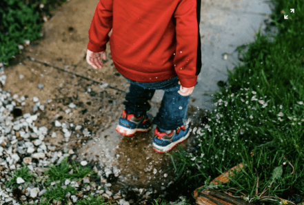 Screen Shot 2018-03-19 at 11.46.34 PM