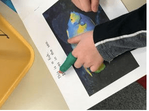 Screen Shot 2018-04-30 at 11.41.19 PM