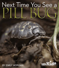 Screen Shot 2018-05-22 at 9.29.14 AM